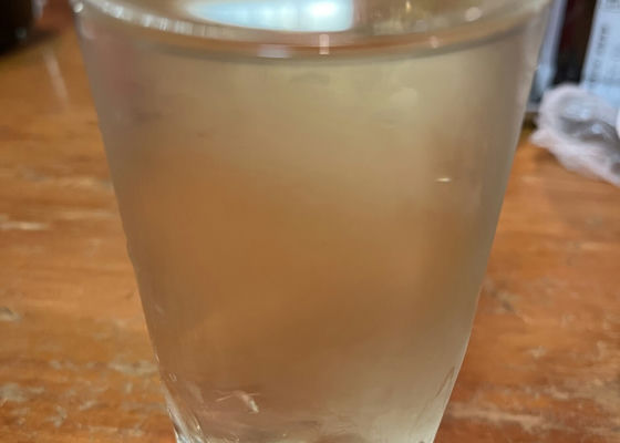 alt 1