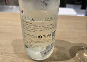 alt 1