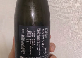 alt 2