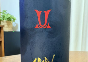 alt 1