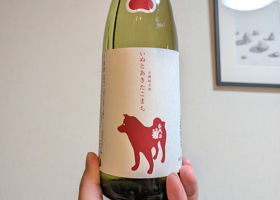 千代菊 チェックイン 1