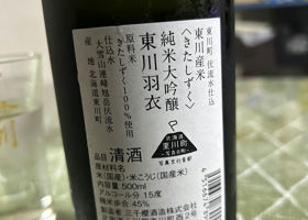 alt 2