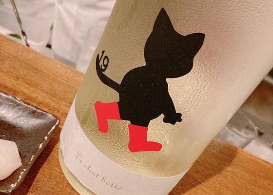 19 Le chat botte チェックイン 1