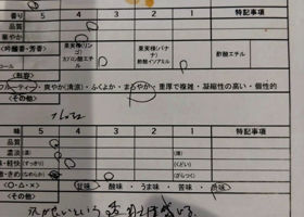 alt 3