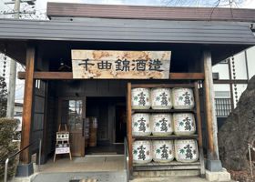 alt 1