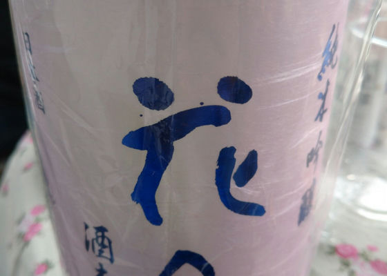 alt 1