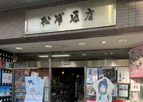 alt 3