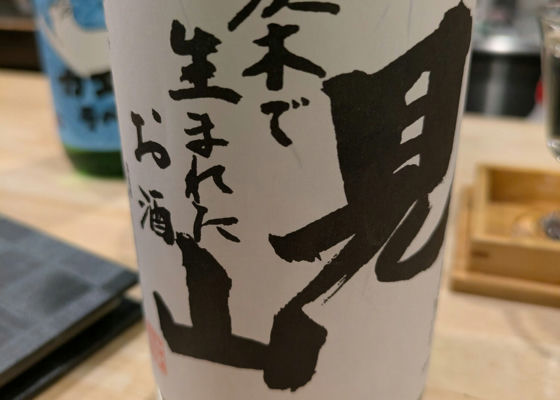 alt 1