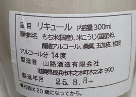 alt 3