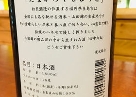 alt 3