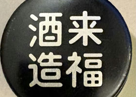 alt 3
