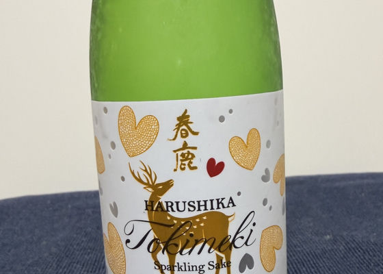 春鹿 チェックイン 1