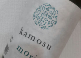 kamosu mori Check-in 1