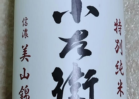 alt 1