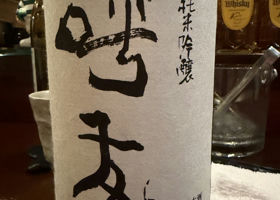 alt 1