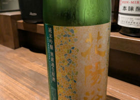 alt 1