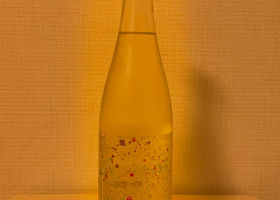 alt 1