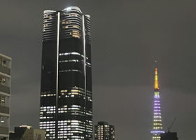 alt 4