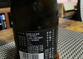 alt 3