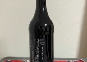alt 3