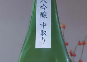 alt 2