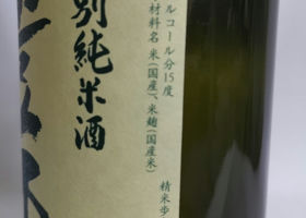 alt 3