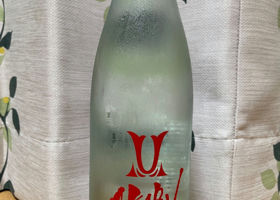 alt 1