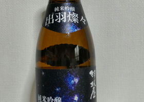 alt 3