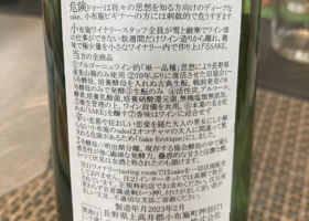 alt 2