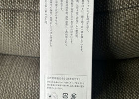 alt 3