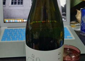 alt 1