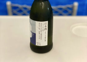 alt 3