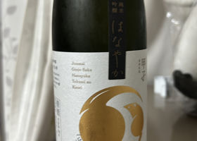 甲子 チェックイン 1