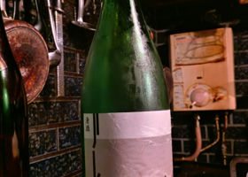 alt 1