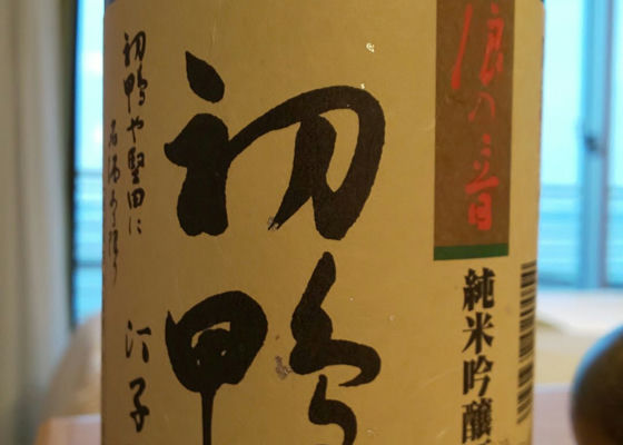 alt 1