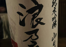 alt 1