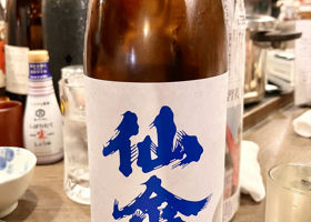 alt 1