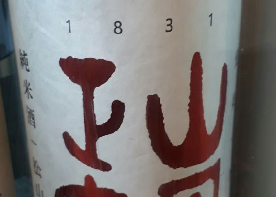 alt 1