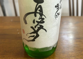 alt 1