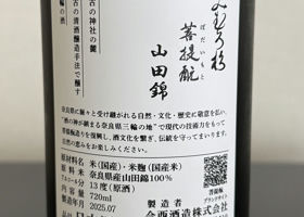alt 3