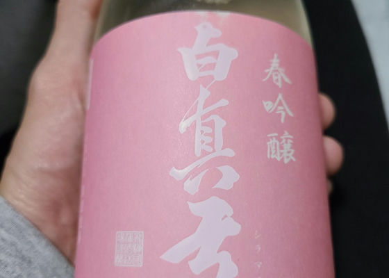 白真弓