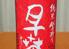 alt 1