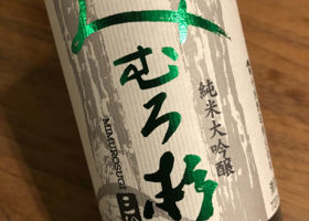 alt 1