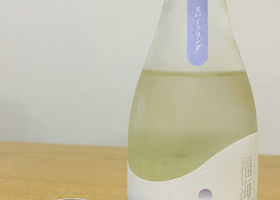 alt 3