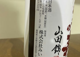 alt 3
