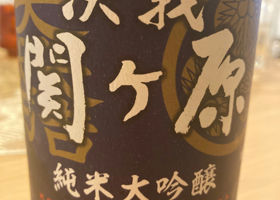 alt 1