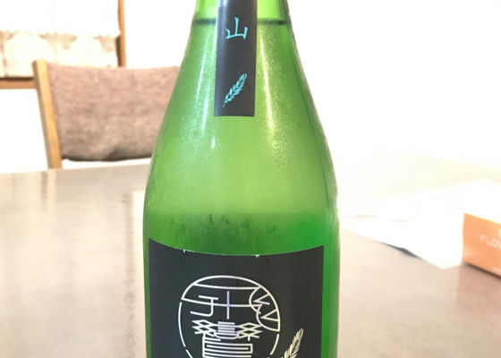 alt 1
