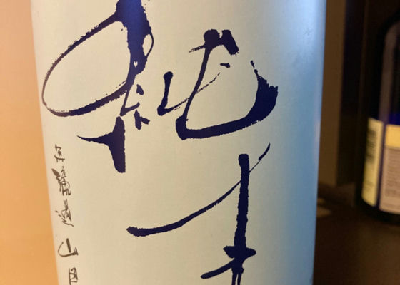 alt 1