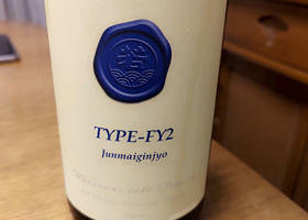 Type-FY2 チェックイン 1