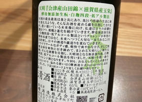 alt 3